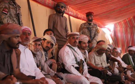 منطقة طمحان تشهد حفلاً لتنصيب الشيخ أمين سرور بن سويدان شيخًا لقبيلة آل ماضي الهلالية