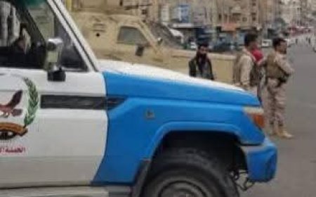 الحملة الأمنية المشتركة تضبط أحد أخطر المطلوبين أمنيا.