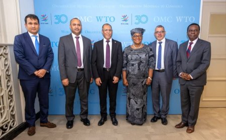 وزير الصناعة والتجارة يبحث مع منظمة التجارة العالمية مجالات التعاون وتعزيز الشراكة