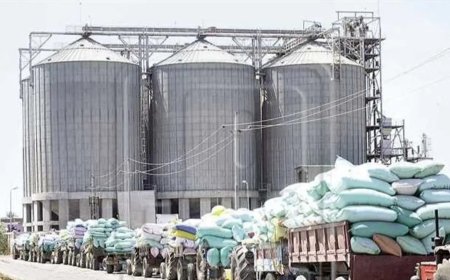 مطاحن البحر الأحمر توجه ضربة قاسية لمليشيات الحوثي