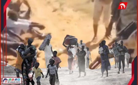 فيديوهات صادمة من السودان.. إعدامات ميدانية لقوات الدعم السريع في الفاشر