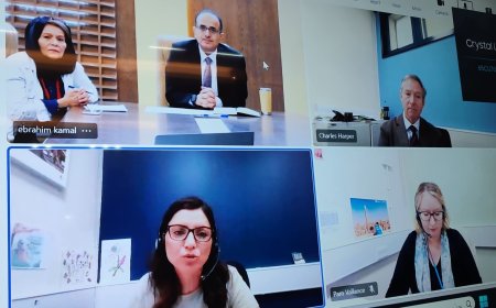 الوزير بحيبح يبحث مع فريق من وزارة الخارجية البريطانية الاستعدادات لمؤتمر المانحين للصحة