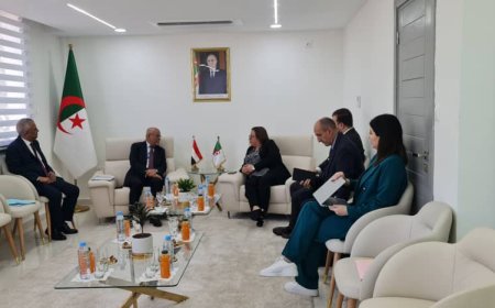 السفير اليزيدي يبحث تعزيز التعاون الثنائي في التعليم الفني بين بلادنا والجزائر