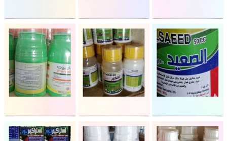 تحذير من خلط المبيدات الزراعية: خطر يهدد صحة الإنسان والبيئة