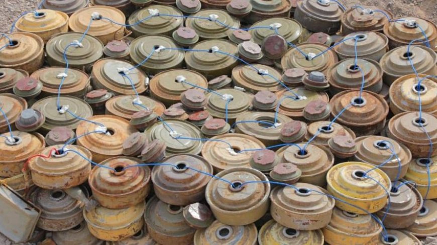 "مسام" ينزع أكثر من 1300 لغماً خلال أسبوع زرعتها المليشيات الحوثية