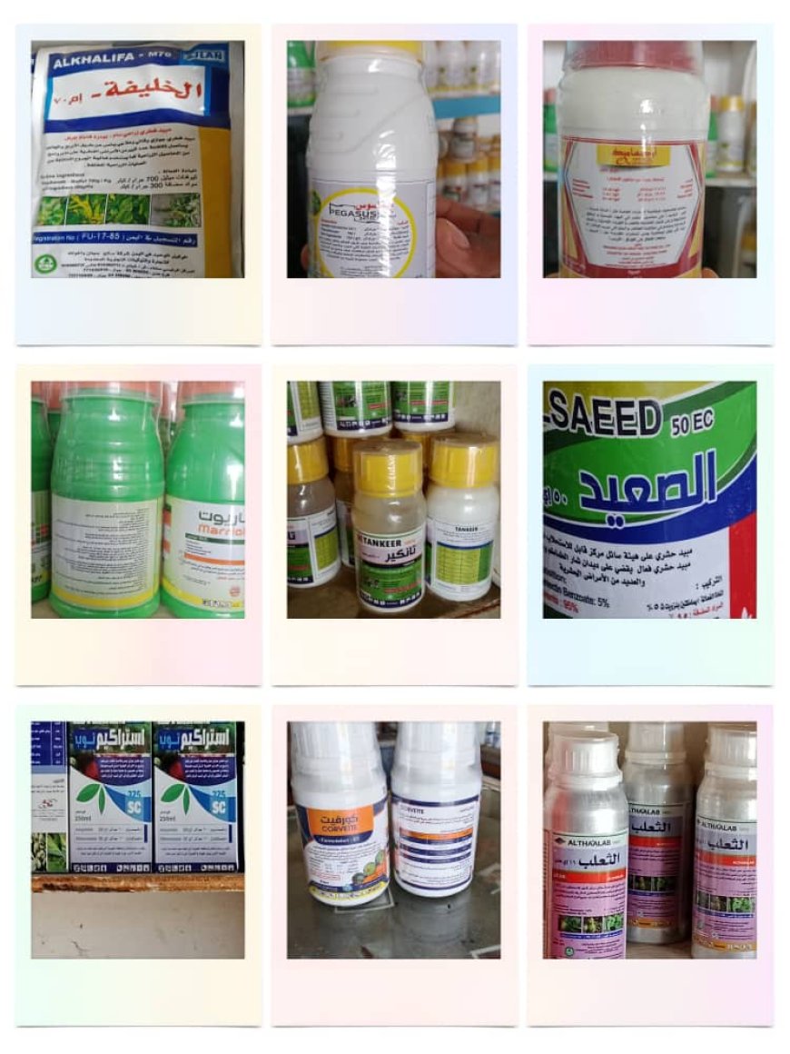 تحذير من خلط المبيدات الزراعية: خطر يهدد صحة الإنسان والبيئة