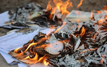 مصلحة الأحوال المدنية تتلف أوراقاً ثبوتية قديمة ضبطت أثناء تهريبها من مناطق ميليشيات الحوثي الارهابية