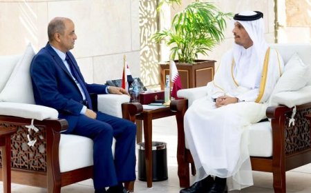رئيس الوزراء يعقد جلسة مباحثات مع نظيره القطري