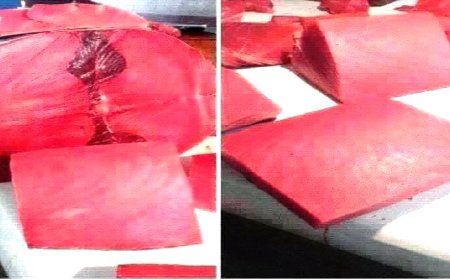 أسعار الأسماك ليومنا هذا الثلاثاء