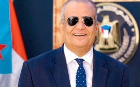 (مرحلة بلا وقت)!.. شطارة يكشف سرّ تفكك مكونات الشرعية بعد تشكيل مجلس القيادة