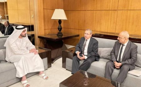 رئيس مجلس القضاء الأعلى يلتقي رئيس المحكمة الاتحادية العليا الإماراتي