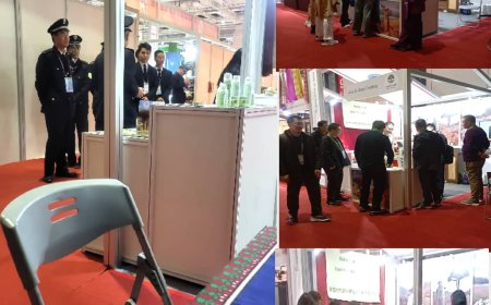 العشبة السقطرية.. حضورٌ يمنيٌّ أصيل في معرض شنغهاي الدولي الثامن