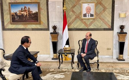 وزير الخارجية يبحث مع السفير الياباني تعزيز التعاون في قضايا أمن البحر الأحمر ورفع جاهزية خفر السواحل