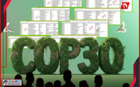 تفاصيل جديدة حول قائمة (140) اسمًا المشاركين من اليمن في قمة المناخ COP30 بالبرازيل