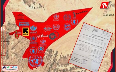 قضية غامضة ودعاوى بلا مُدّعٍ!!.. لماذا تستهدف نيابة مأرب المنظمات الدولية؟! (وثائق)