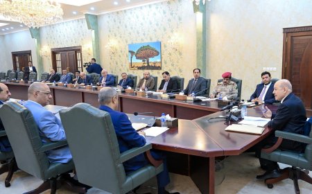 رئيس مجلس القيادة يرأس اجتماعا للحكومة