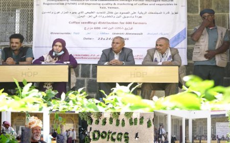 الدعيس يدشّن توزيع شتلات البن لـ600 مستفيد في عزلة بني حماد بمديرية المواسط