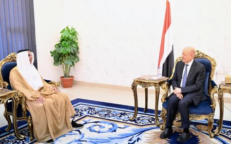 رئيس مجلس القيادة يشيد بالدعم الإماراتي لقطاع الكهرباء في اليمن