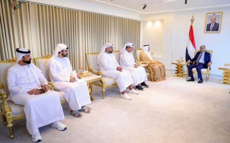 رئيس الوزراء يستقبل السفير الإماراتي ويجدد الشكر لدولة الإمارات على دعمها قطاع الكهرباء في اليمن بمليار دولار