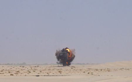 أبين: "مشروع مسام" يتلف 7 آلاف لغم وقنبلة ومخلفات حربية بمديرية زنجبار