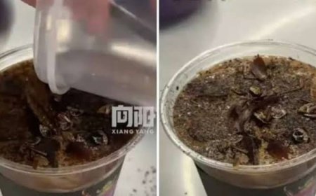 جديد الصين .. مشروب قهوة بنكهة الصراصير !