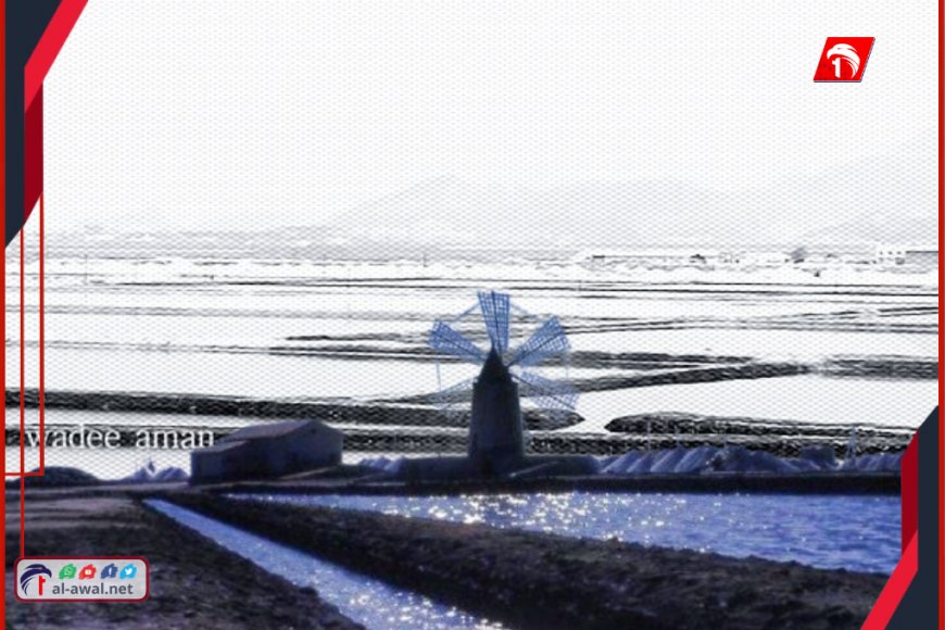 تحركات غامضة في أحواض الملح بعدن.. مصدر رسمي يكشفها