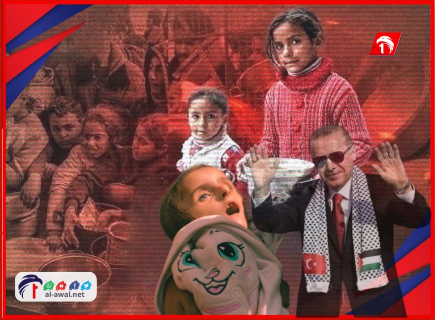 بعد تصريح ناري من أردوغان.. تركيا تدعو إلى نشر قوة أممية في غزة.