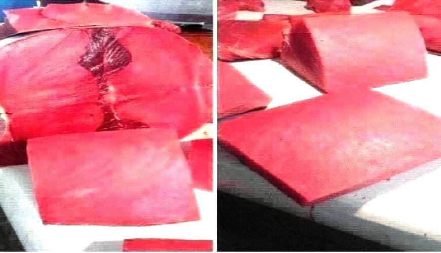 أسعار الأسماك ليومنا هذا الثلاثاء