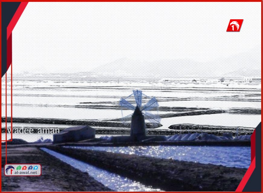 تحركات غامضة في أحواض الملح بعدن.. مصدر رسمي يكشفها