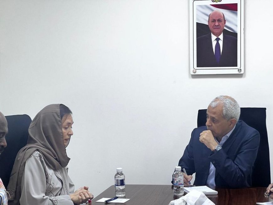 نائب وزير الخارجية يناقش مع نائب مدير بعثة (الأونمها) نشاط البعثة في الحديدة وتطوير أدائها
