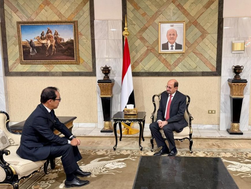 وزير الخارجية يبحث مع السفير الياباني تعزيز التعاون في قضايا أمن البحر الأحمر ورفع جاهزية خفر السواحل