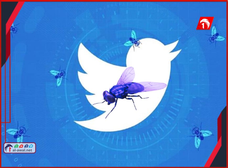 معركة ضد الذباب الإلكتروني!!..  تحديث منصة (X) الجديد يقلب الطاولة على الحسابات الوهمية!