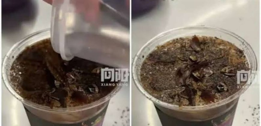 جديد الصين .. مشروب قهوة بنكهة الصراصير !