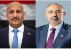 الرئيس الزُبيدي يتلقى اتصالًا هاتفيًا  من الفريق طارق صالح