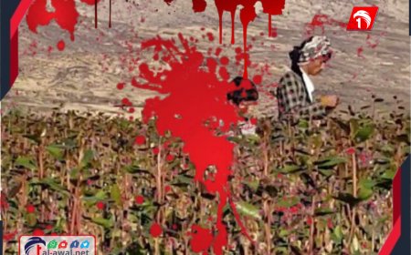 جريمة مروعة والسبب صادم!!.. قتيل و(3) جرحى في اشتباك مسلح في رداع بالبيضاء