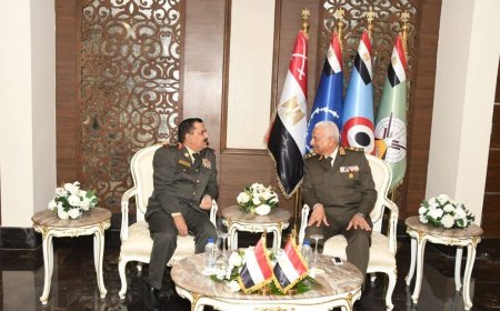 وزير الدفاع يلتقي نظيره المصري