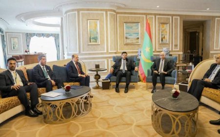 عضو مجلس القيادة الدكتور عبدالله العليمي يلتقي الرئيس الموريتاني