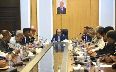 محافظ حضرموت يرأس اجتماعًا استثنائيًا للمكتب التنفيذي بالمحافظة