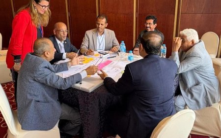 جامعة حضرموت تشارك في ختام دورة البُعد الدولي لمؤسسات التعليم العالي اليمنية بمصر