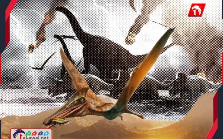 كنز في (قيء) الديناصورات!!.. اكتشاف سر طائر الفلامينغو القديم