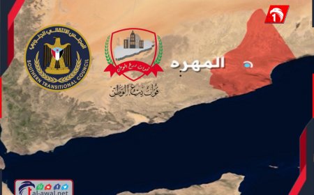 تفاصيل الاتفاق بين الانتقالي ودرع الوطن