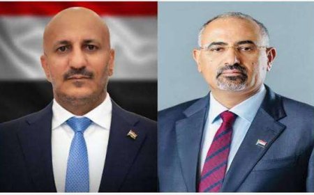 الرئيس الزُبيدي يتلقى اتصالًا هاتفيًا  من الفريق طارق صالح