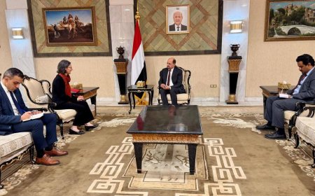 وزير الخارجية يلتقي السفيرة الفرنسية لدى اليمن