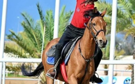 الوزير البكري يبارك للمنتخب الوطني للفروسية تأهله لبطولة العالم