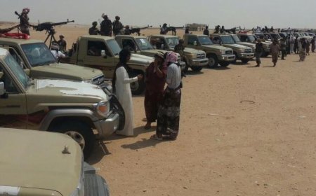 قبائل المهرة تشكر المملكة العربية السعودية على دعمها لأمن واستقرار المحافظات الشرقية