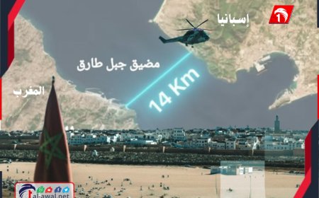 تفاصيل أخطر العمليات تهريب للمافيا.. من دولة عربية تهرب المخدرات بطائرة (الهليكوبتر) 