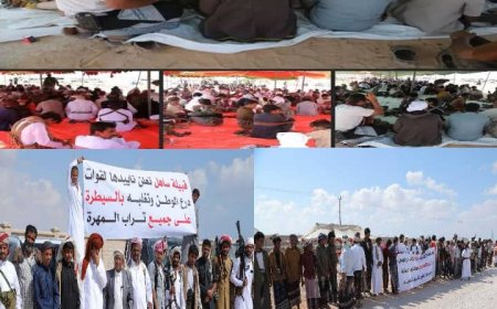 قبائل المهرة تحتشد في الغيضة دعماً لتمكين قوات درع الوطن المهرية وتُشيد بدور السعودية في خفضت التصعيد..(تقرير) 