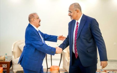 زيارة مفاجئ وغير متوقعة!!.. محلل سياسي يكشف أسباب وأبعاد زيارة البركاني لـ(عدن) ولقائه بـ(الزبيدي)