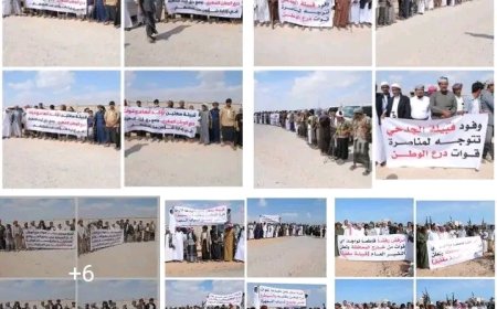 قبائل المهرة تجدد تمسكها بتمكين أبنائها وتعزيز الأمن والاستقرار