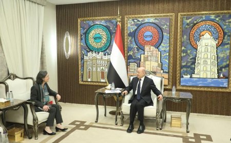 الرئيس العليمي: الدولة ستحمي مركزها القانوني ولن نسمح بفرص "الأمر الواقع".